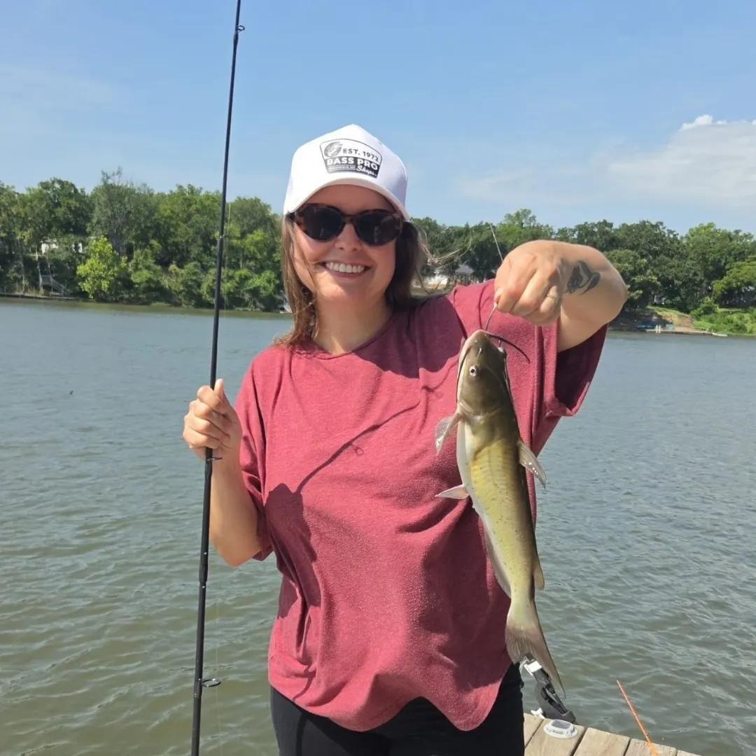 Channel catfish caught on Fishbrain