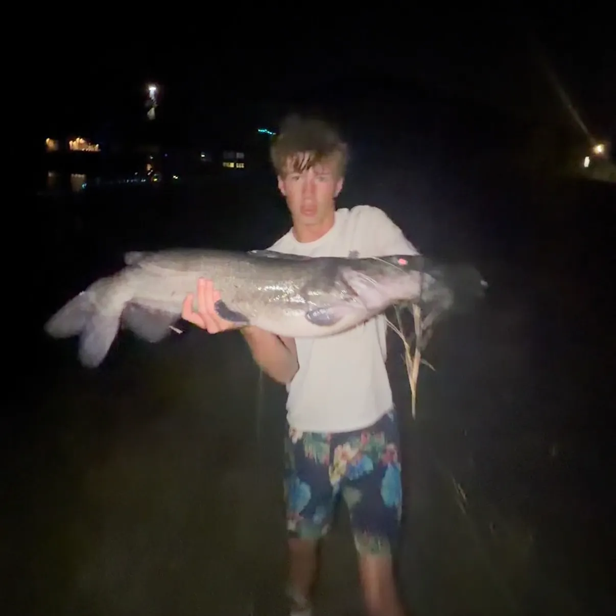 Channel catfish caught on Fishbrain