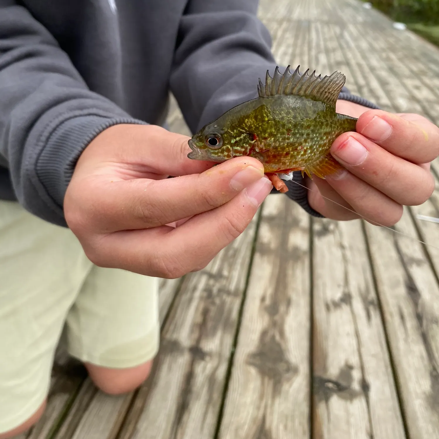 catch