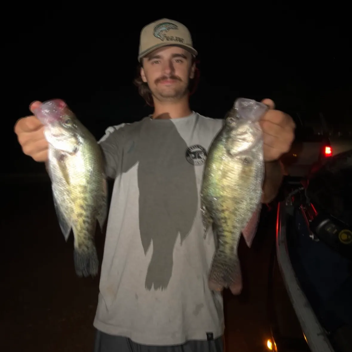White crappie caught on Fishbrain