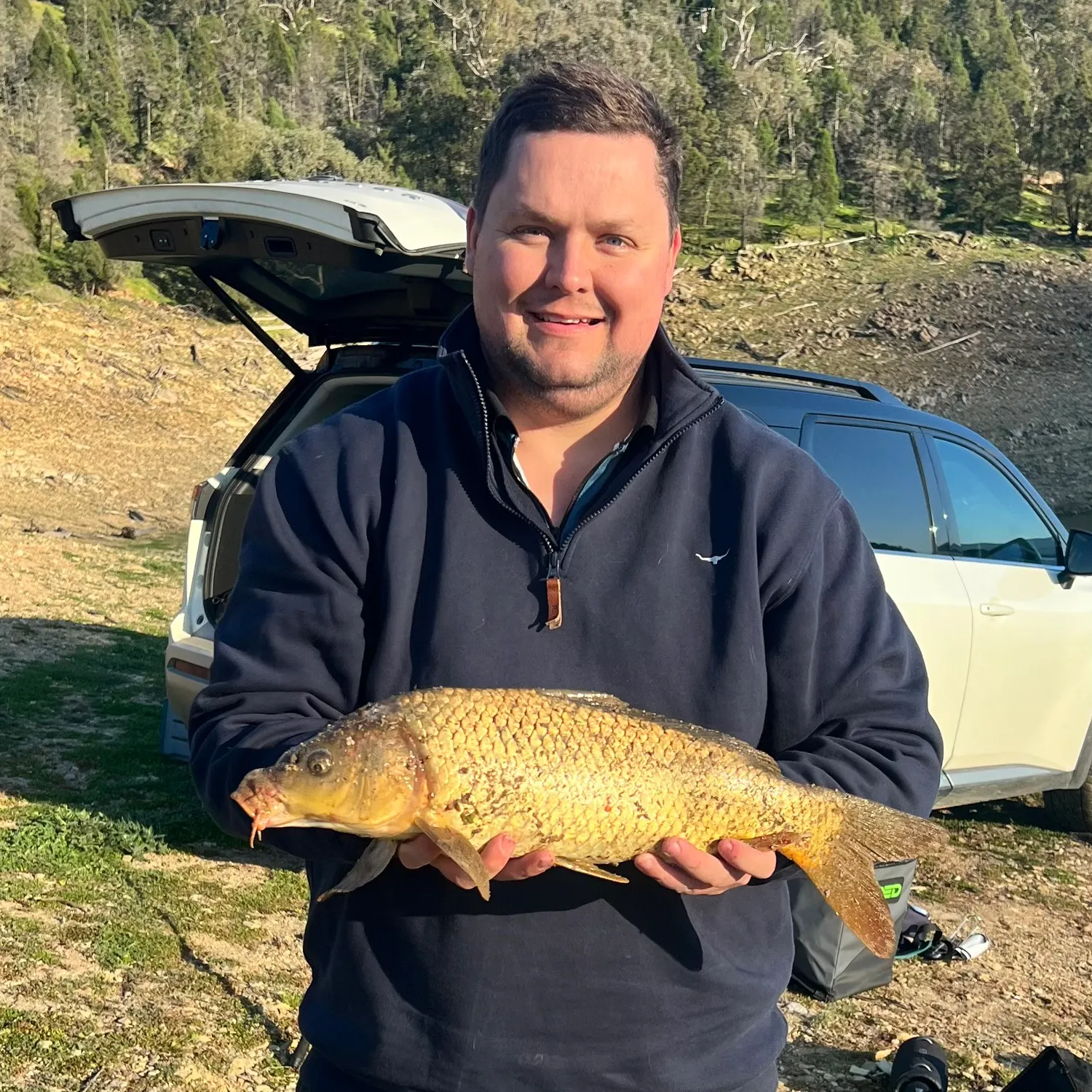 Common carp caught on Fishbrain