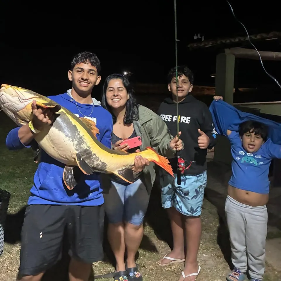 The most recent Redtail catfish catches on Fishbrain