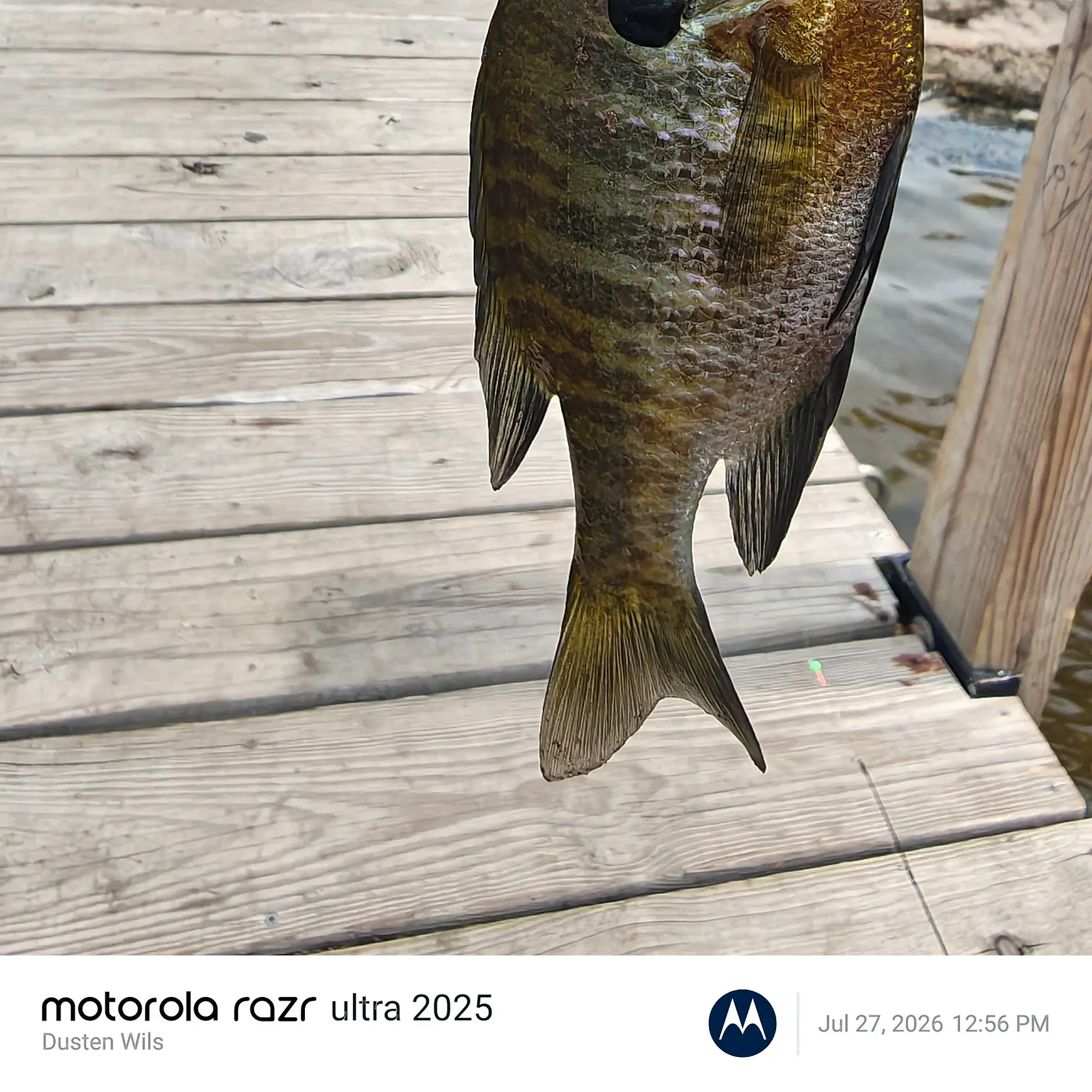 recently logged catches