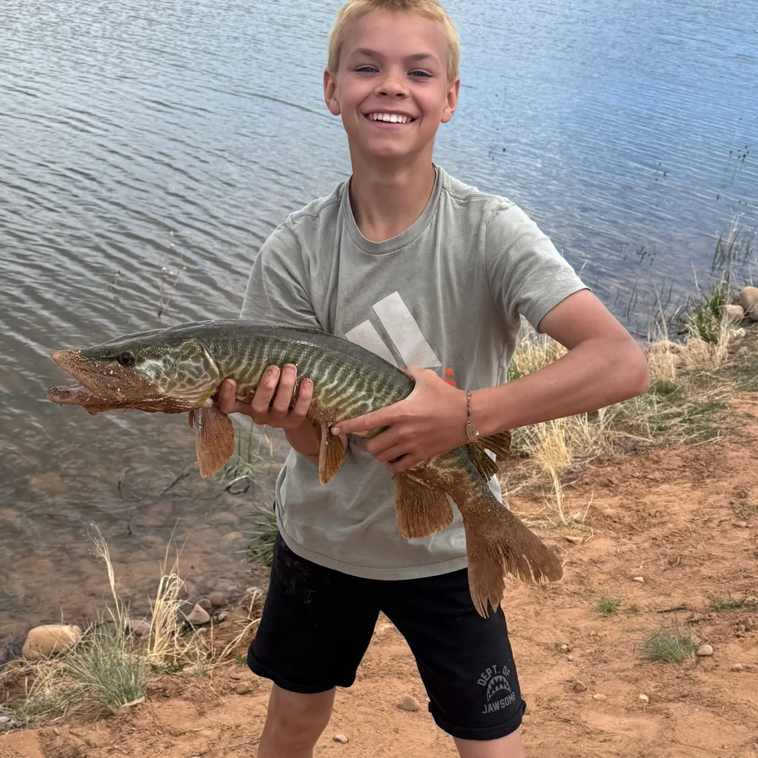 The most recent Tiger muskellunge catches on Fishbrain