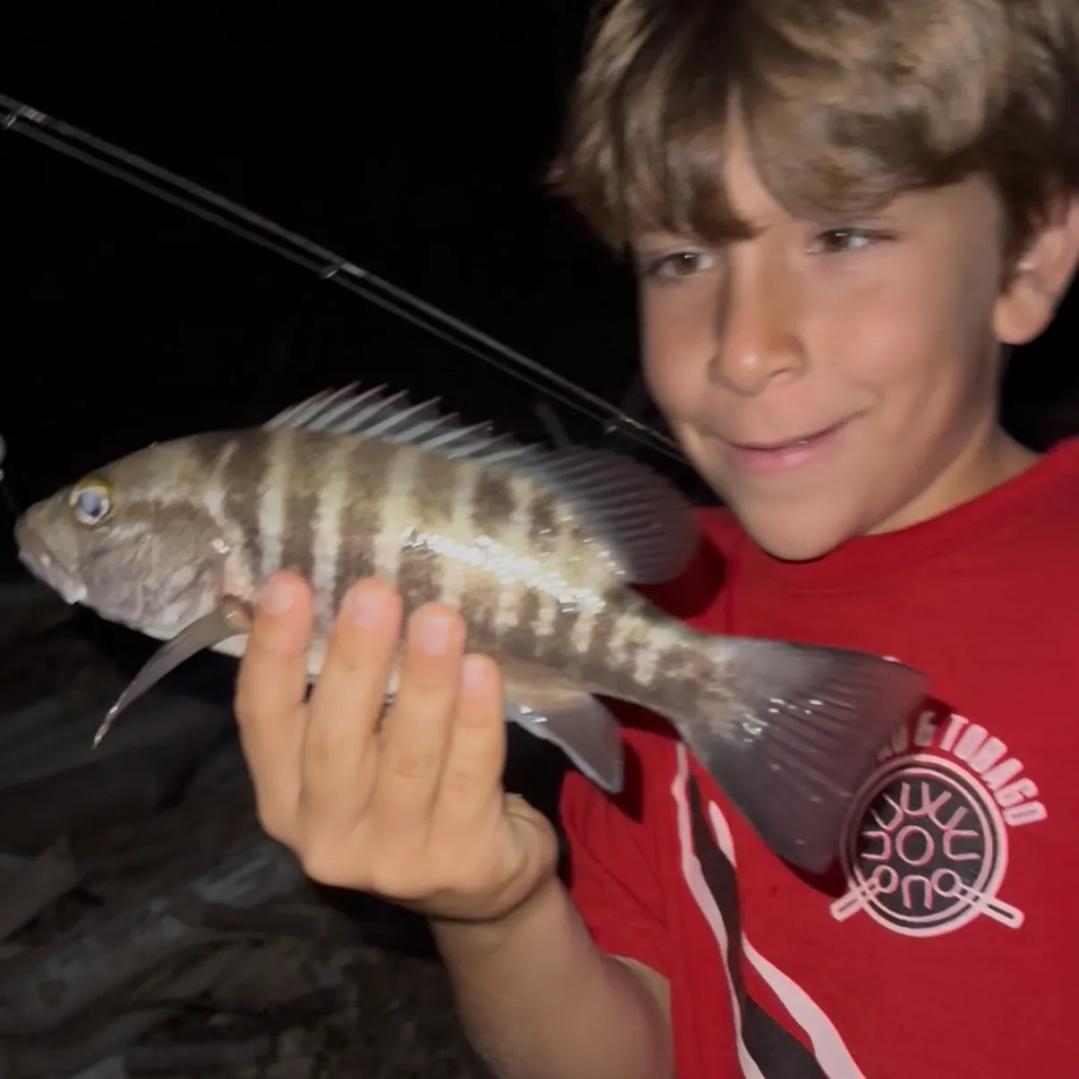 The most recent Mangrove snapper catches on Fishbrain