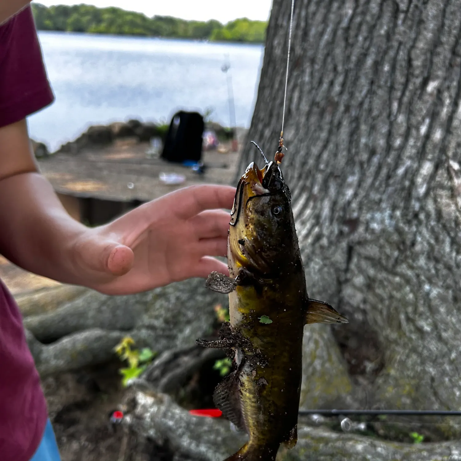 catch