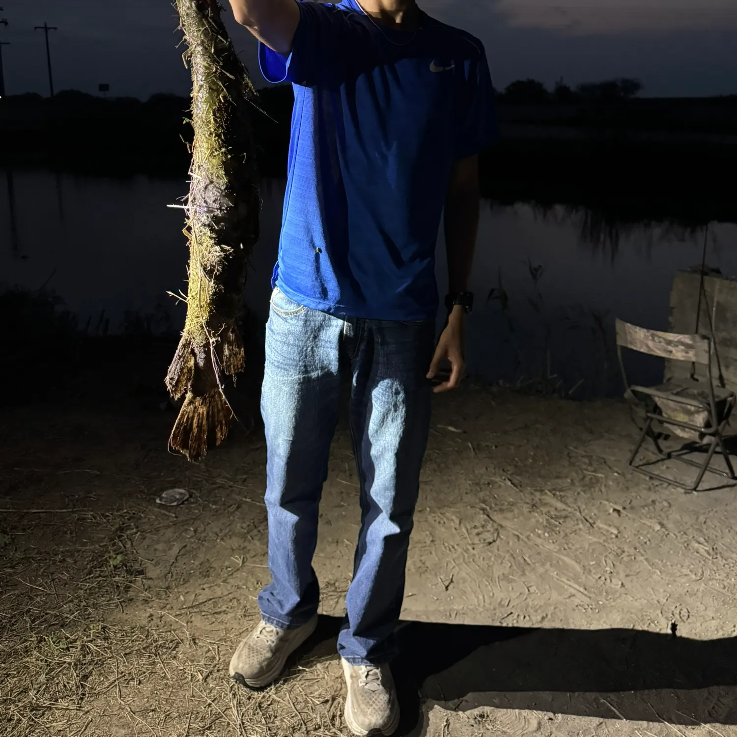 The most recent Alligator gar catches on Fishbrain
