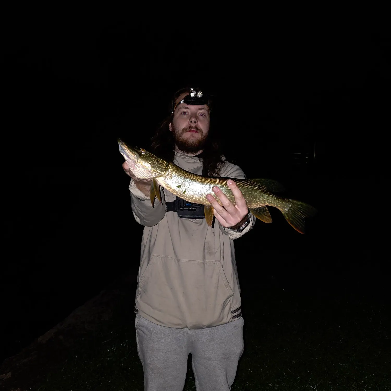 Northern pike caught on Fishbrain