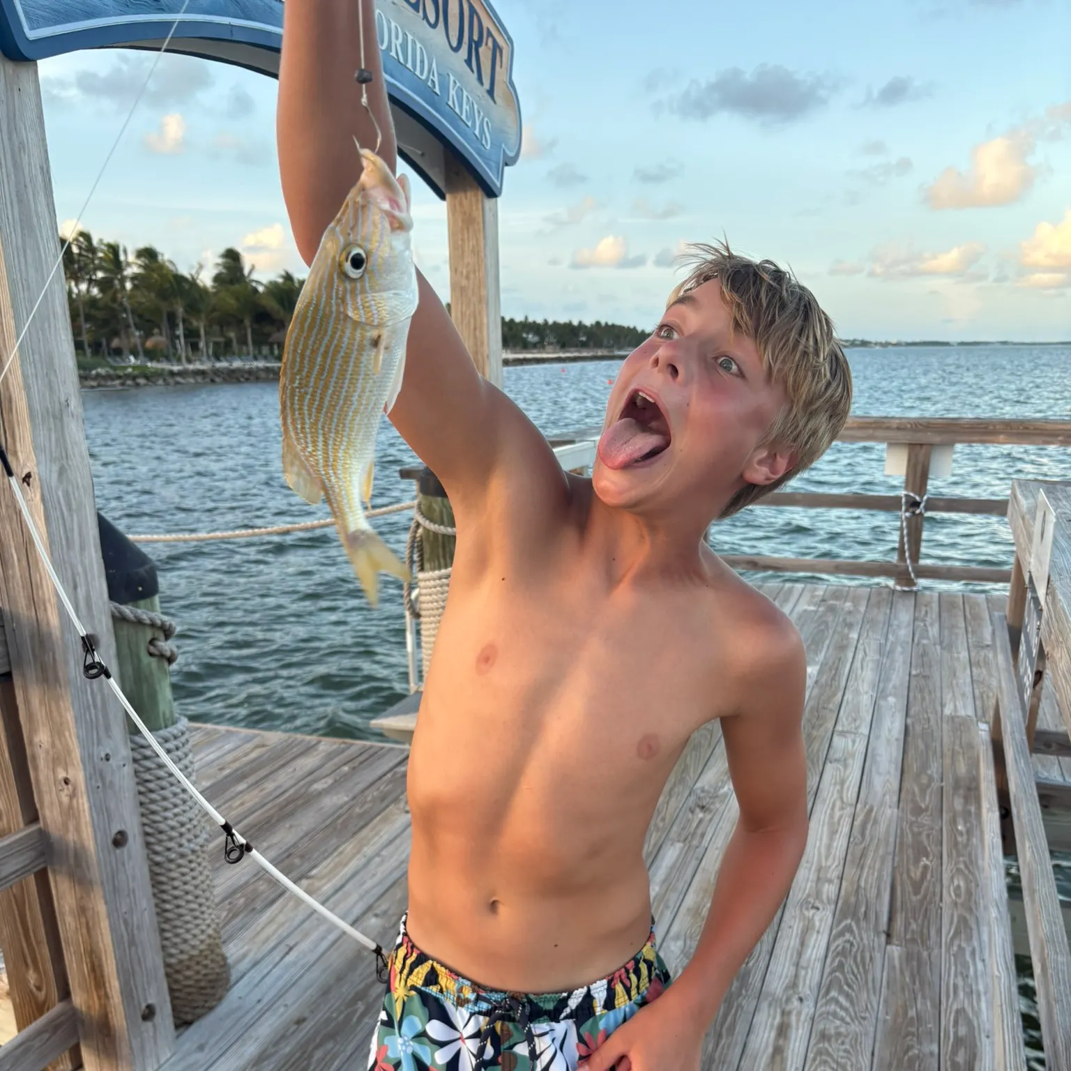 The most recent Bluestriped grunt catches on Fishbrain