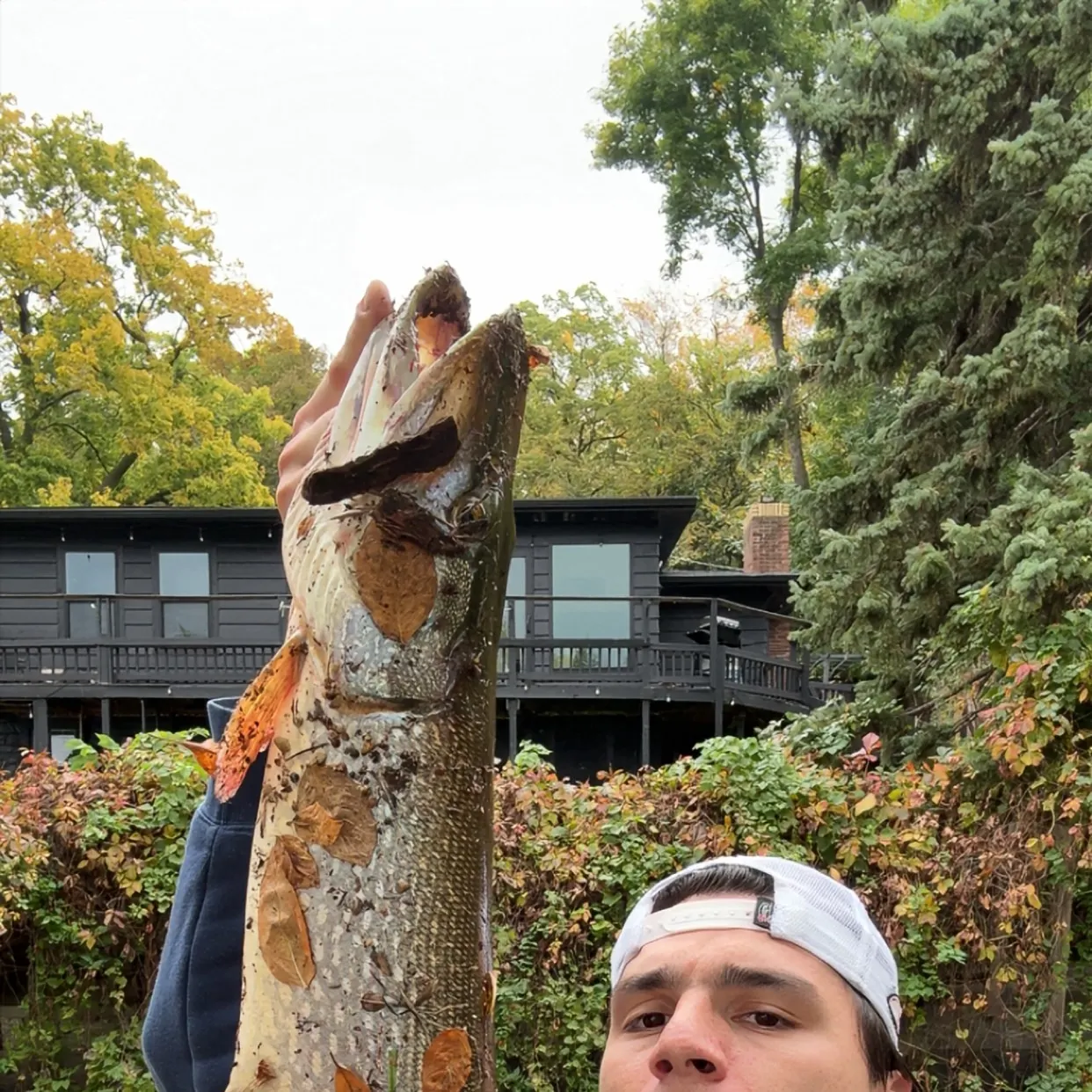 Northern pike caught on Fishbrain