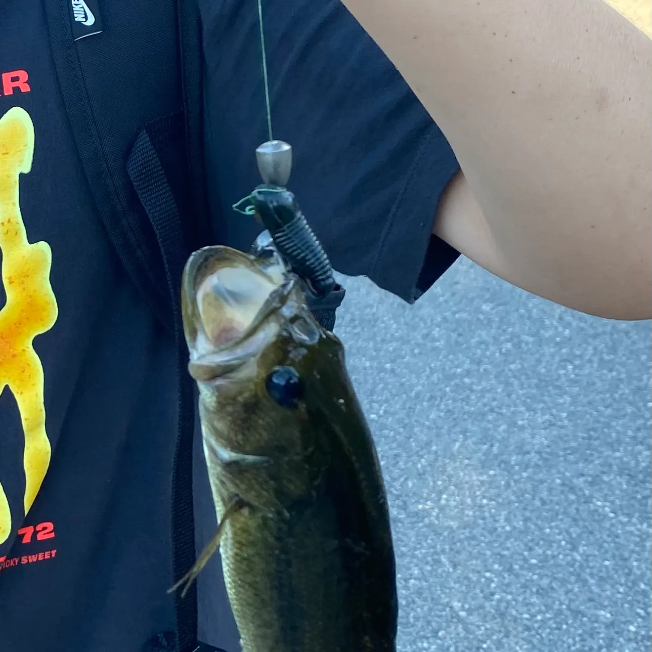 Largemouth bass caught on Fishbrain