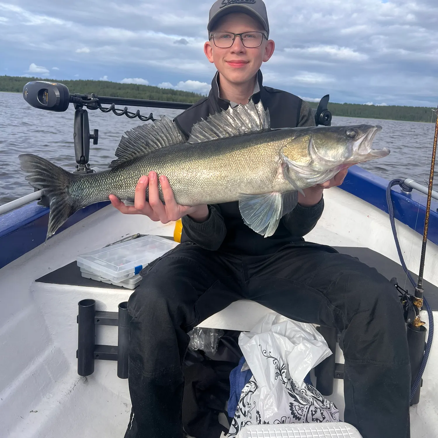 The most recent Zander catches on Fishbrain