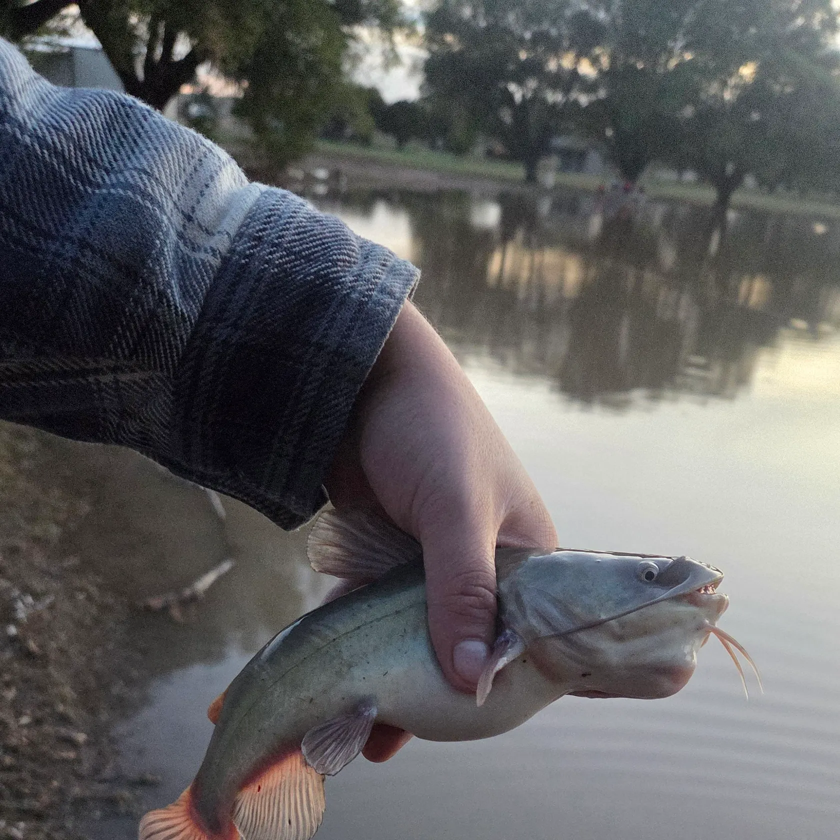 catch