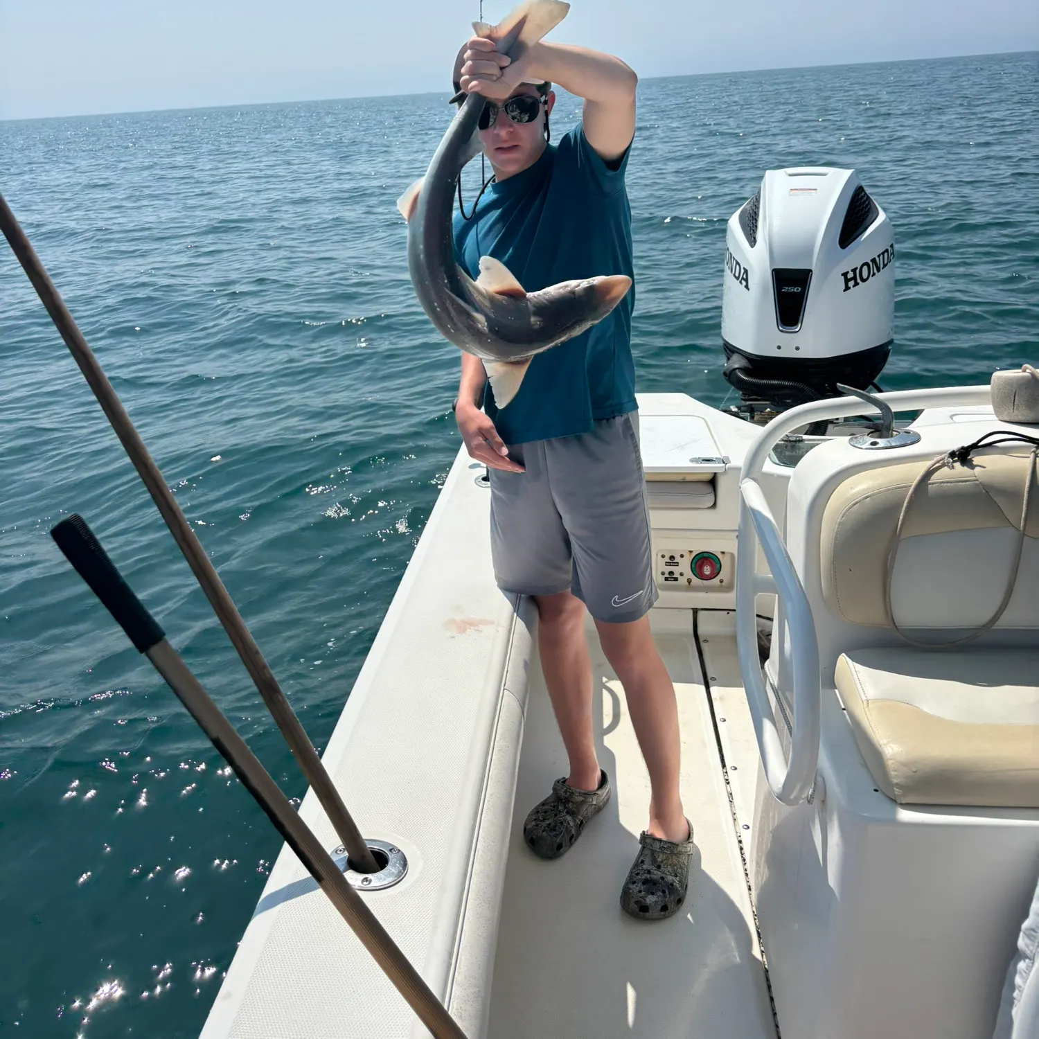 The most recent Piked dogfish catches on Fishbrain