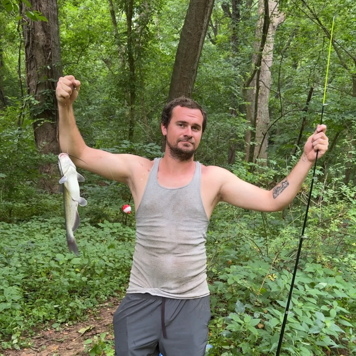 Channel catfish caught on Fishbrain
