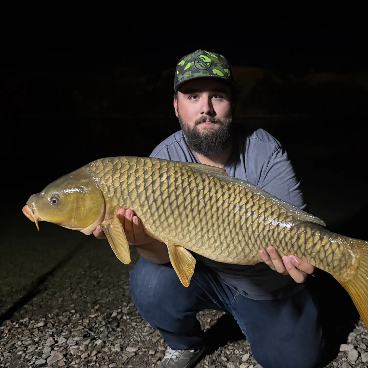 Common carp caught on Fishbrain