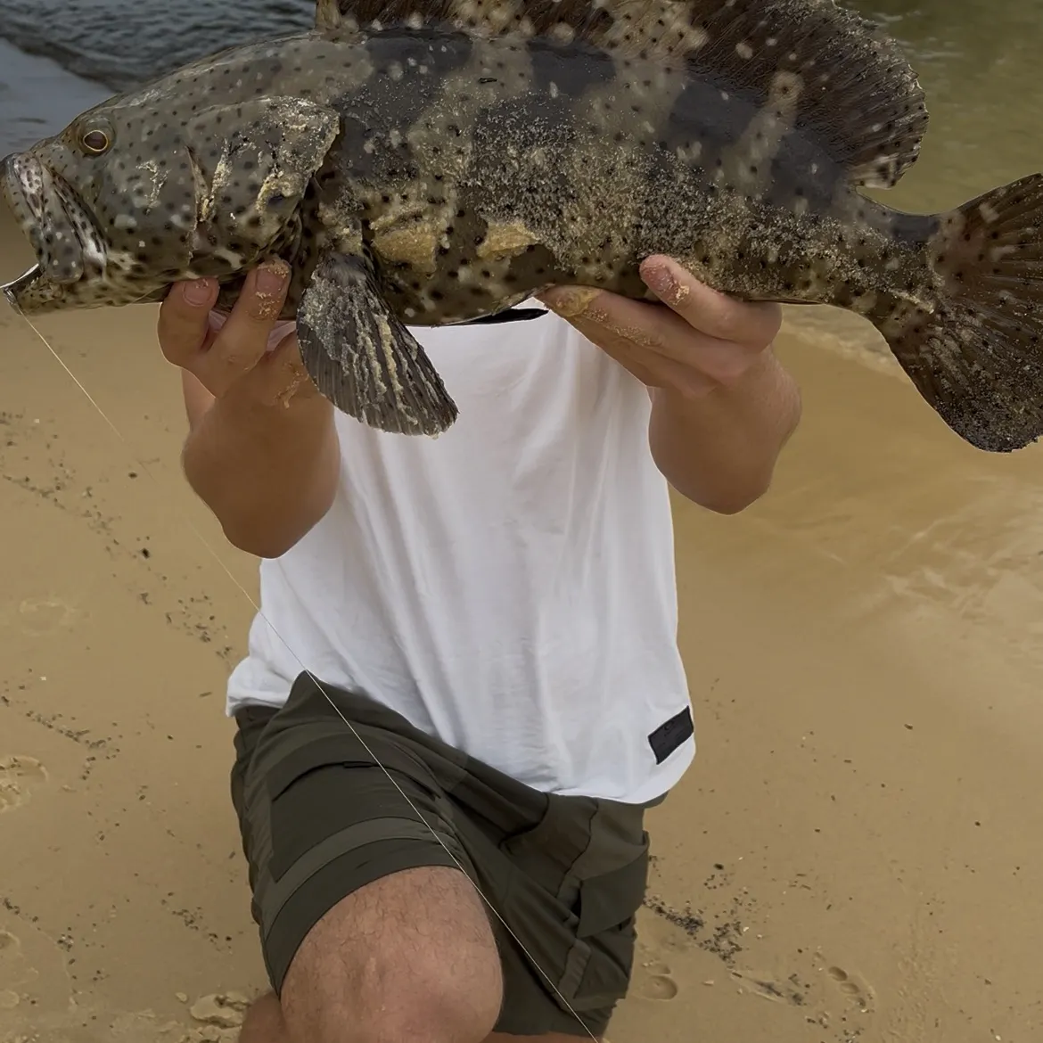 Grouper fishing in Australia