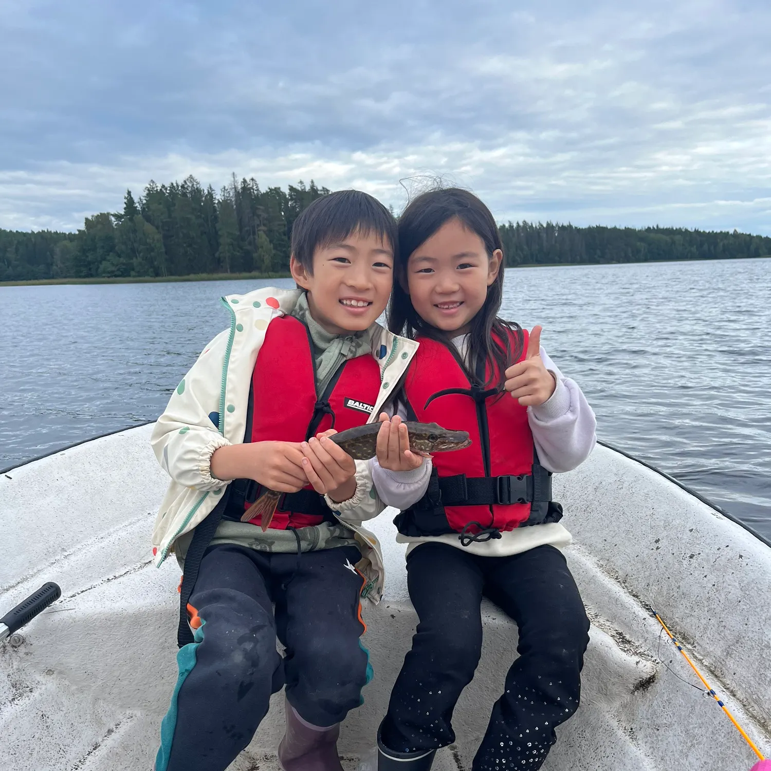 Northern pike caught on Fishbrain