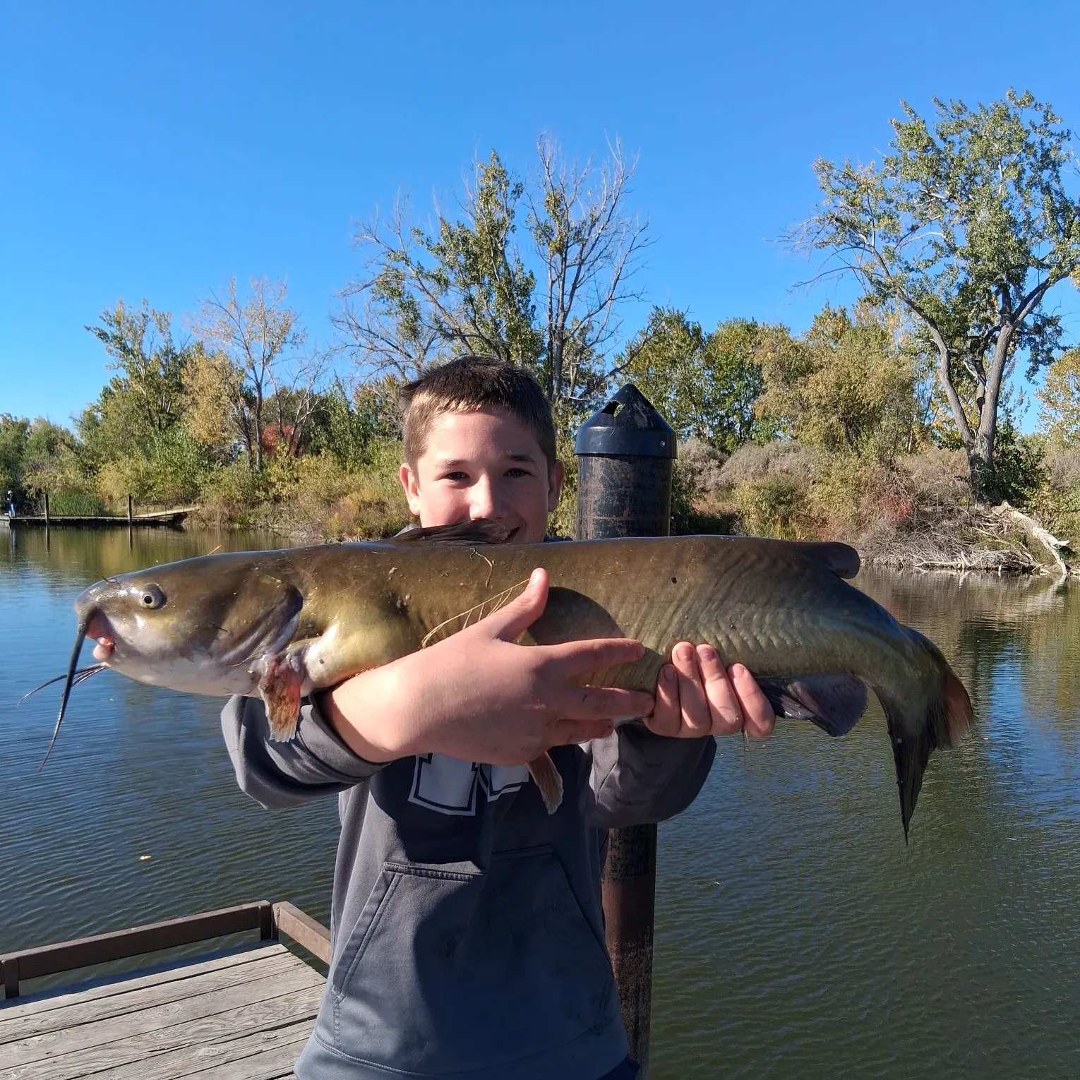 Channel catfish caught on Fishbrain