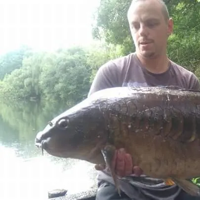 Mirror carp caught on Fishbrain