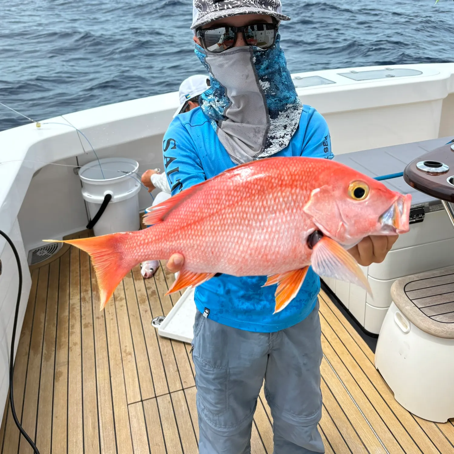 The most recent Blackfin snapper catches on Fishbrain