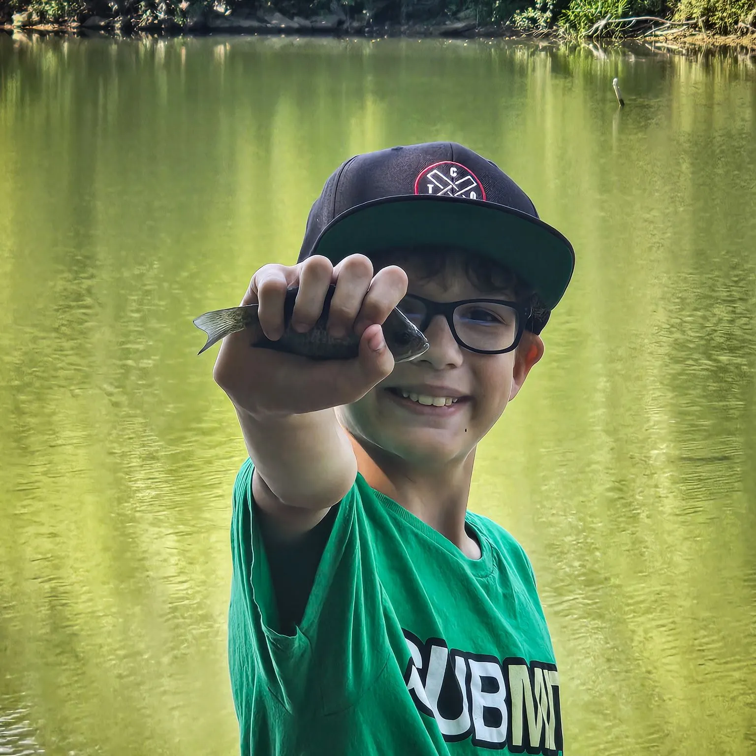 Bluegill caught on Fishbrain