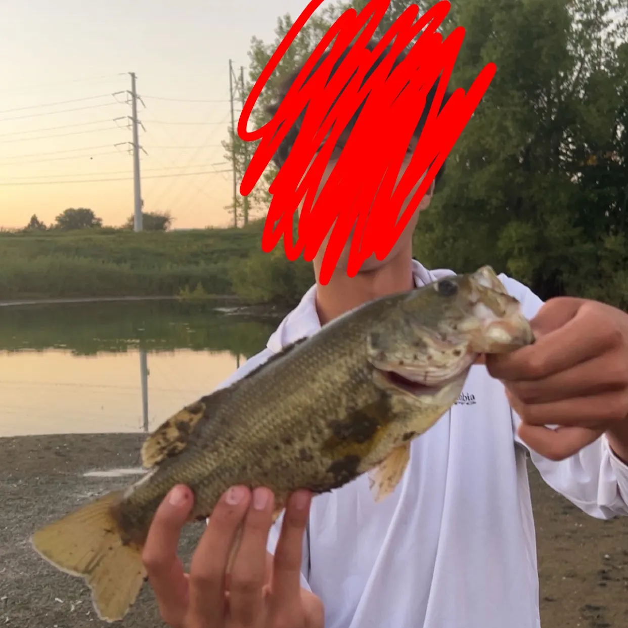 Fish caught on Fishbrain