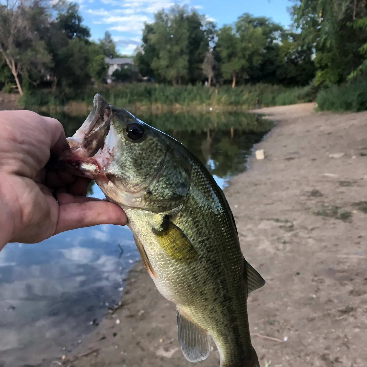 catch