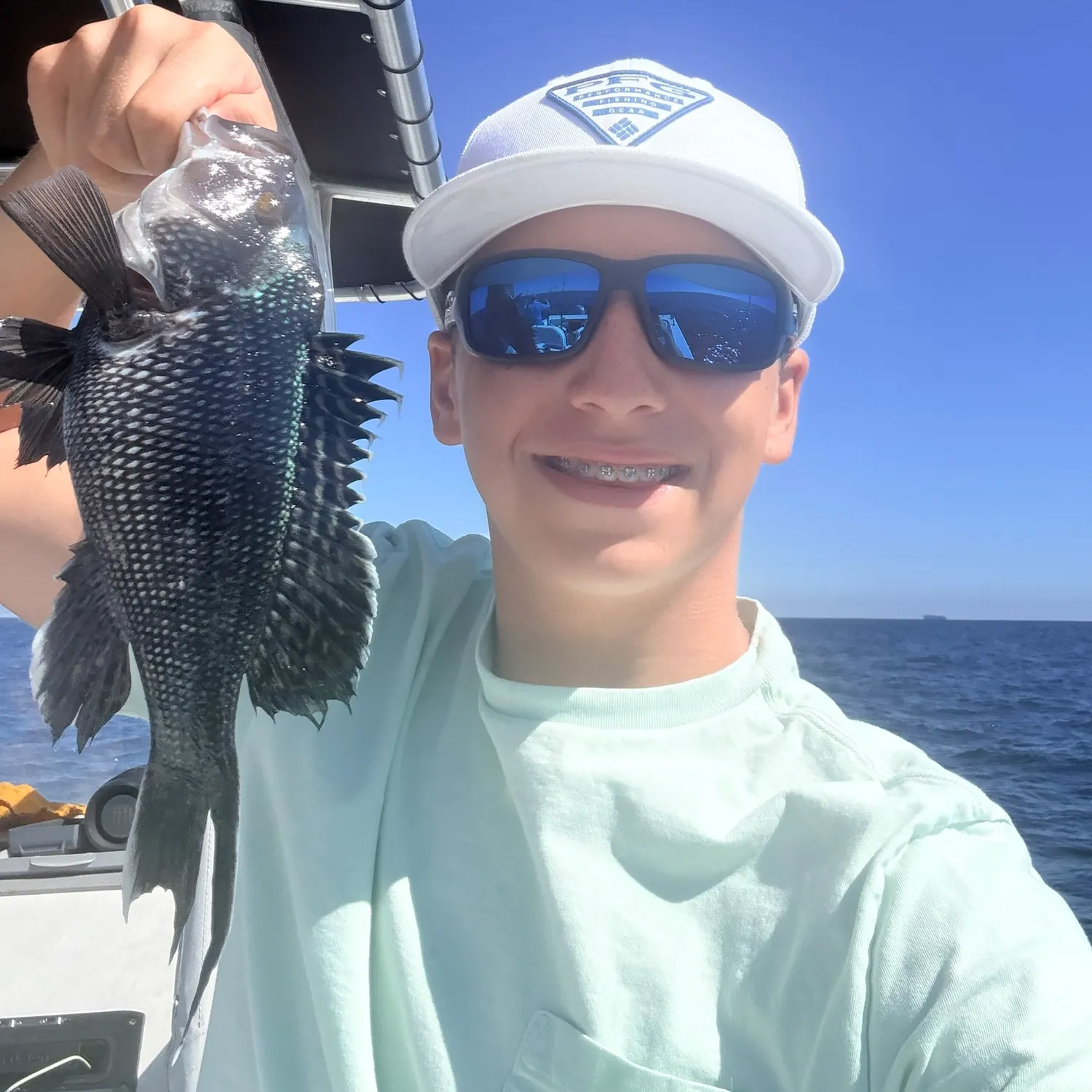 Black sea bass caught on Fishbrain