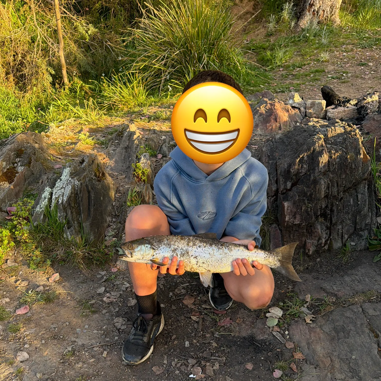 Rainbow trout caught on Fishbrain
