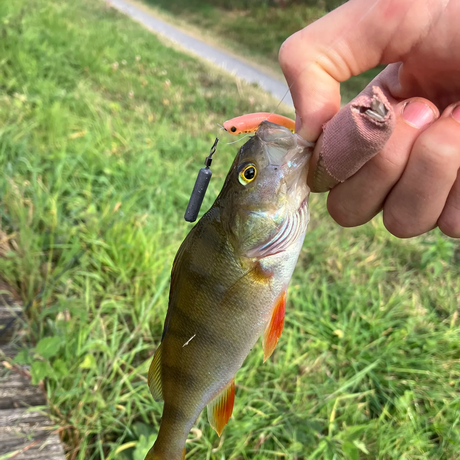 catch