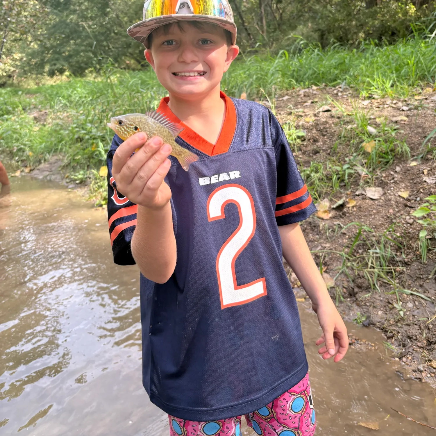 Green sunfish caught on Fishbrain