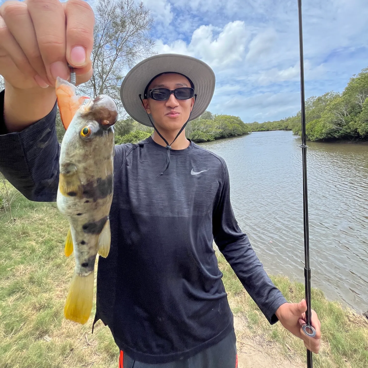 The most recent Smooth toadfish catches on Fishbrain