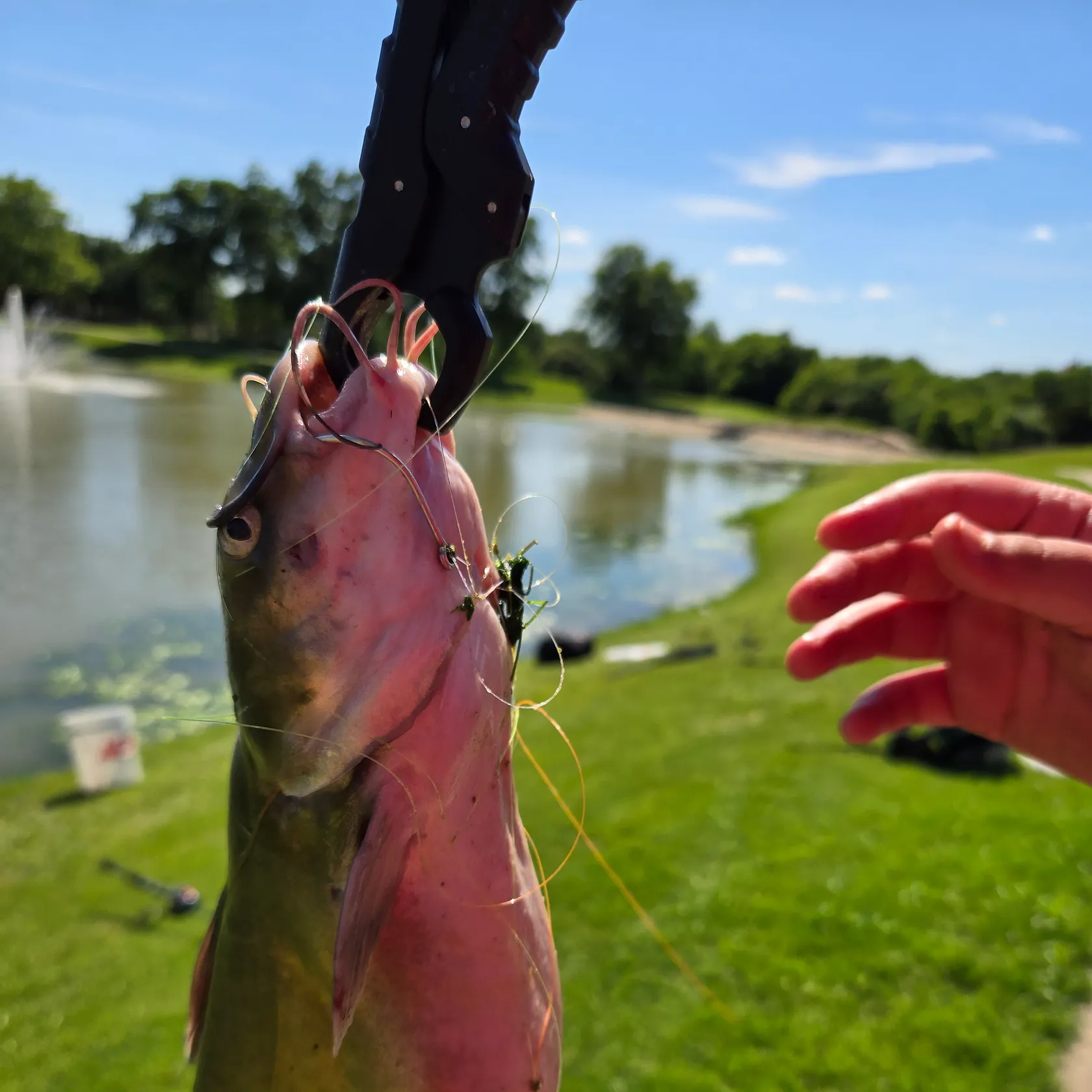 catch