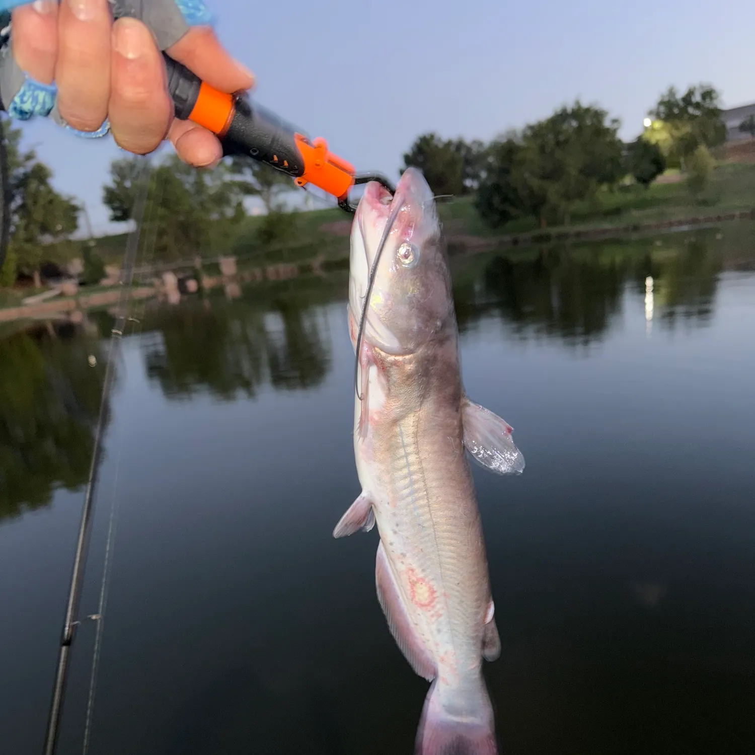 catch