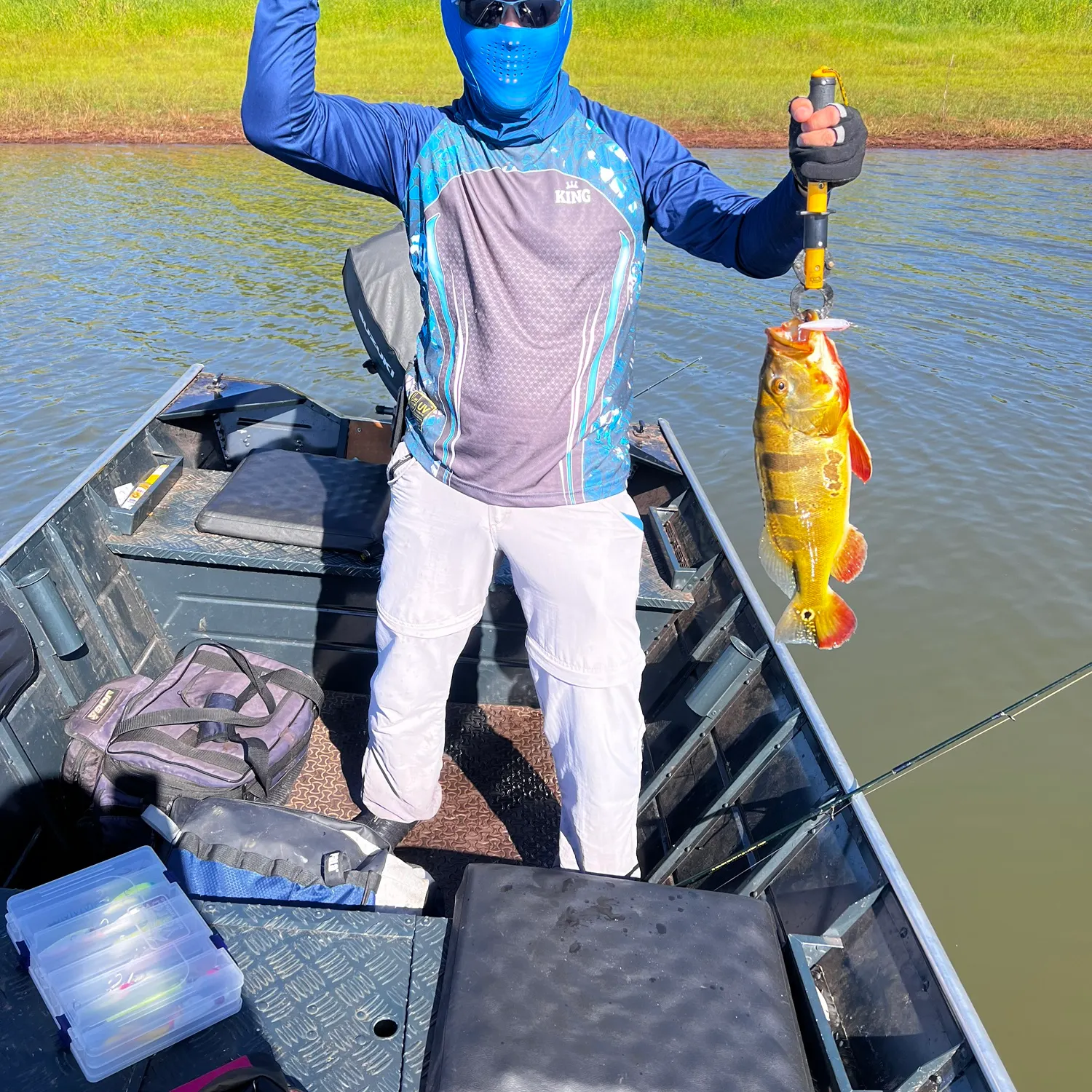 The most recent Kelberi peacock bass catches on Fishbrain