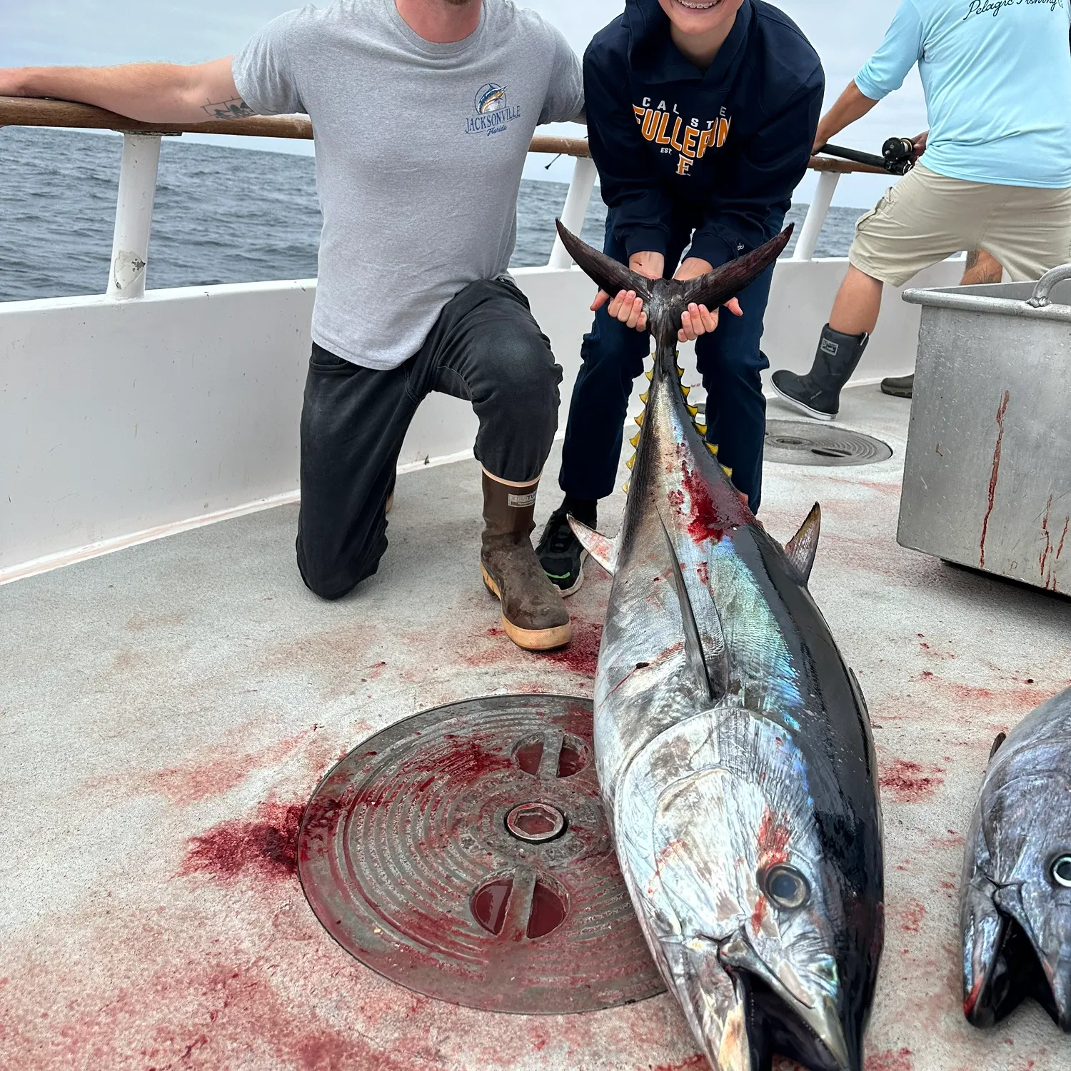 The most recent Atlantic bluefin tuna catches on Fishbrain