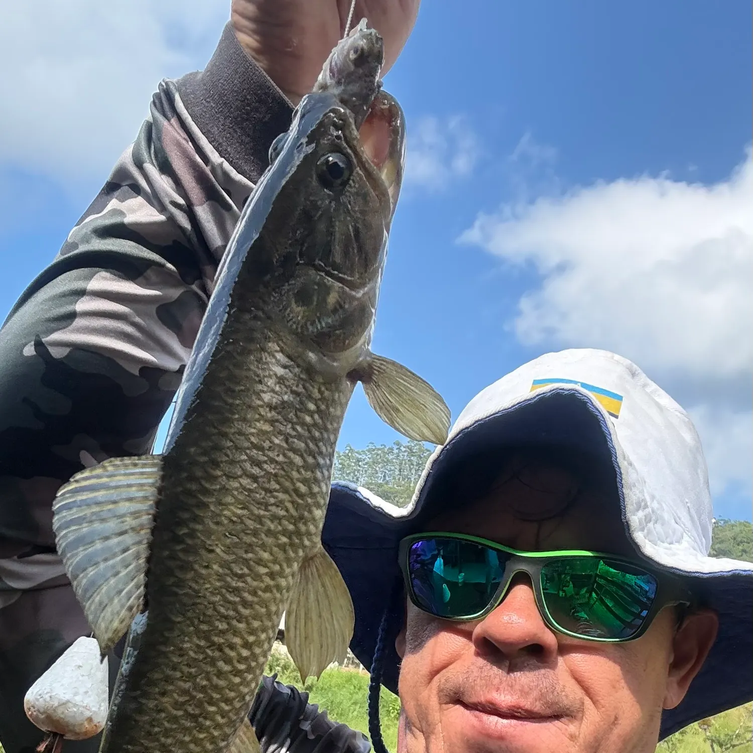 The most recent Trahira catches on Fishbrain