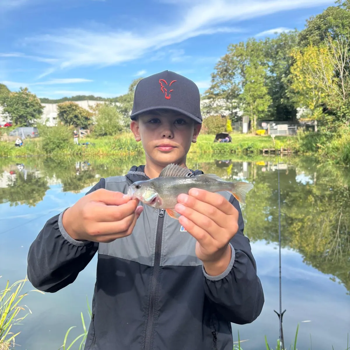 European perch caught on Fishbrain