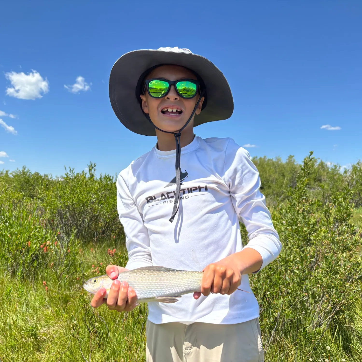 The most recent Arctic grayling catches on Fishbrain