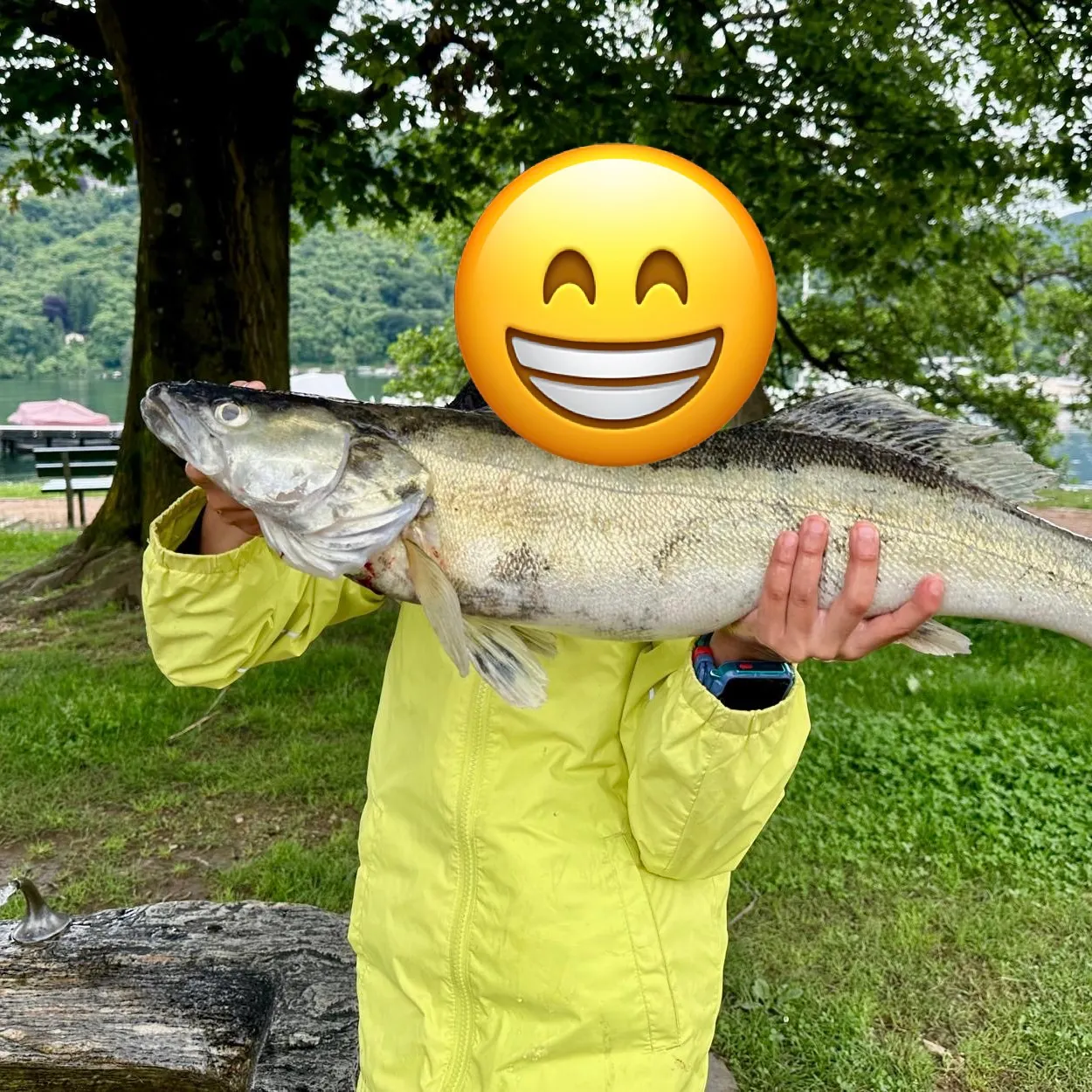 Zander caught on Fishbrain