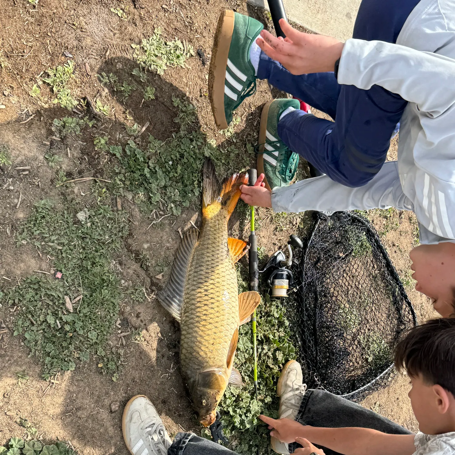 catch