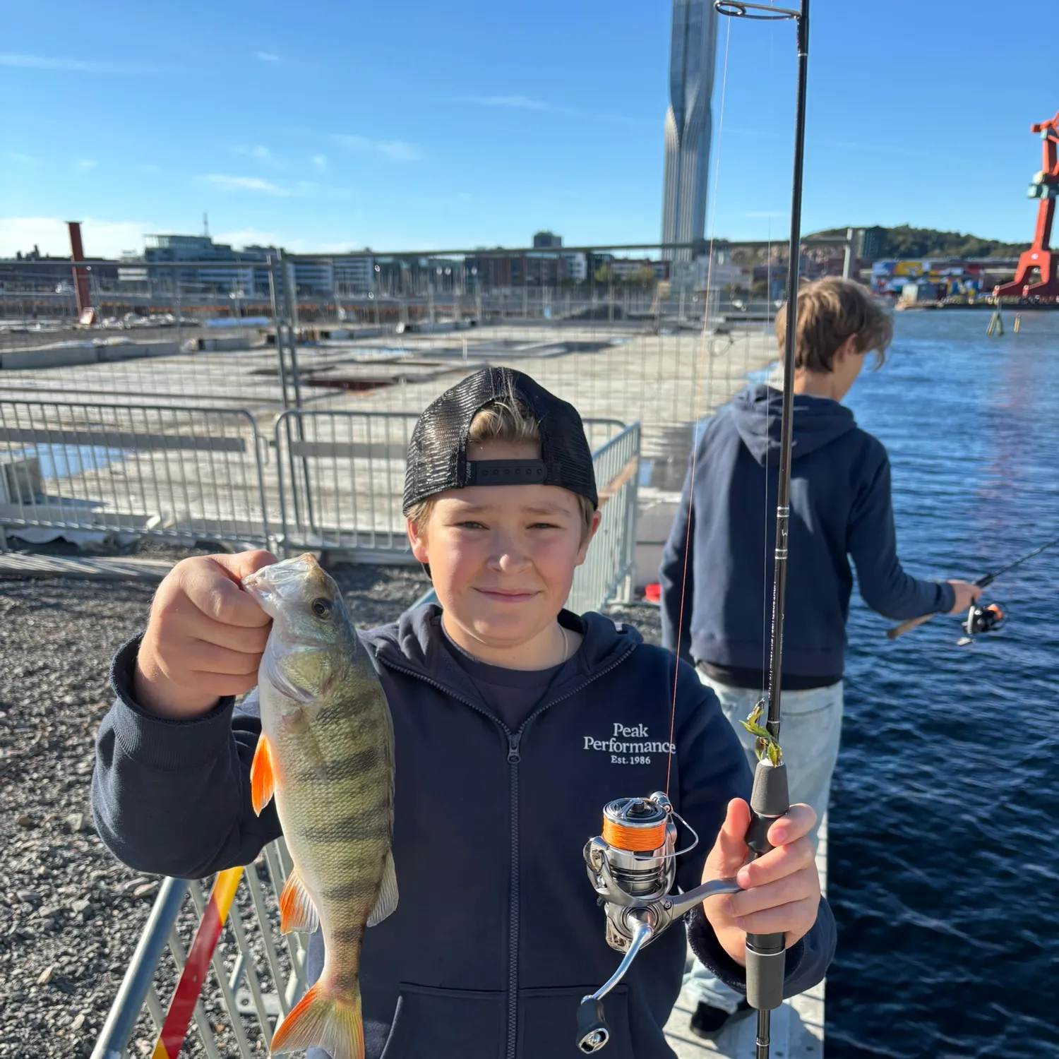 European perch caught on Fishbrain