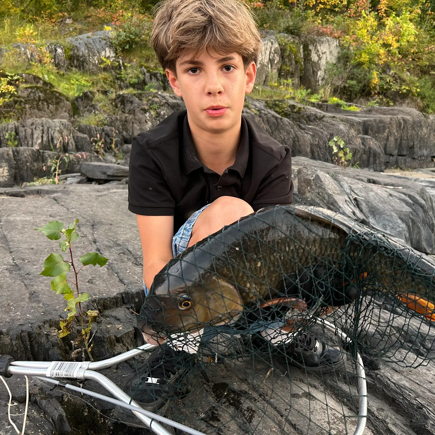Golden redhorse caught on Fishbrain