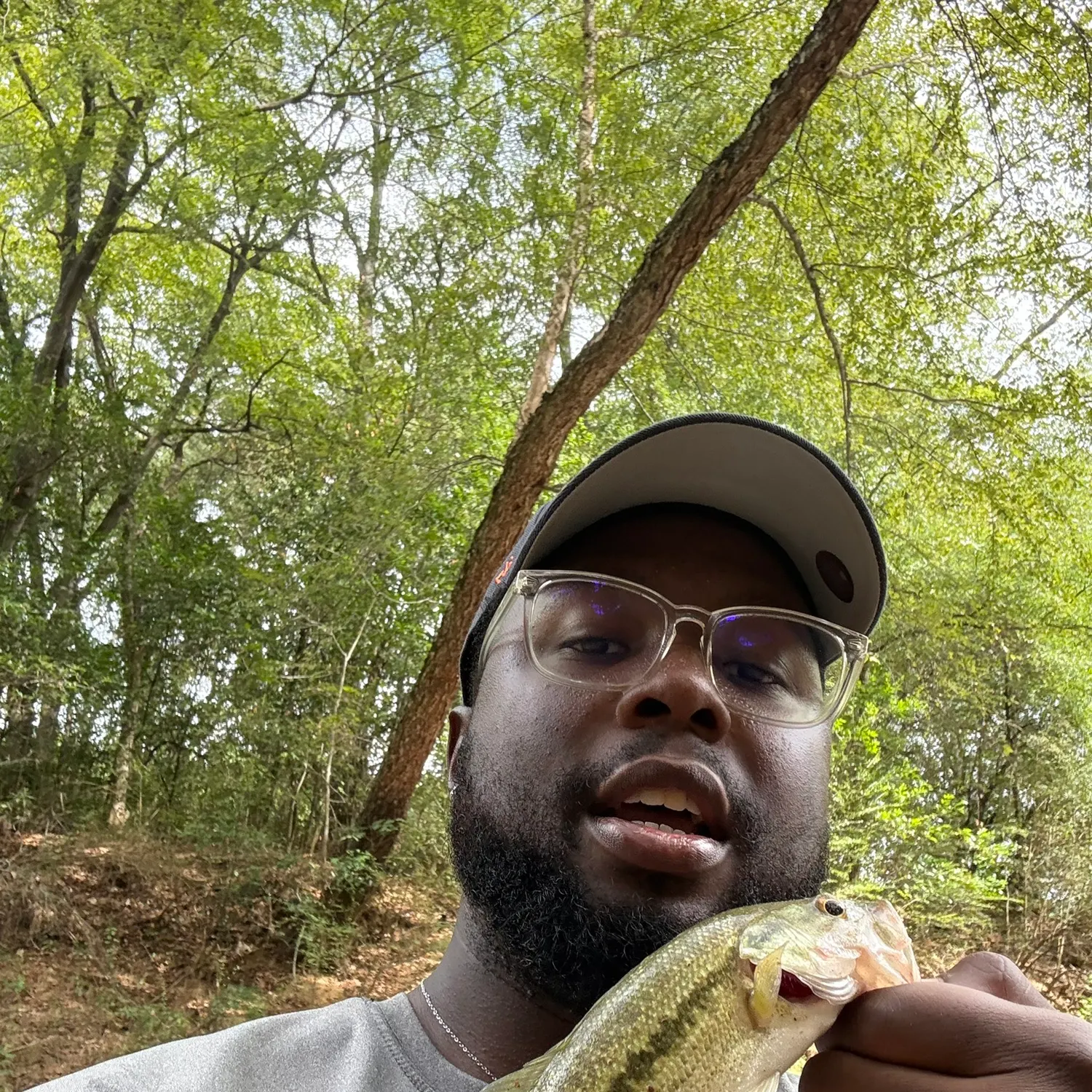 Spotted bass caught on Fishbrain