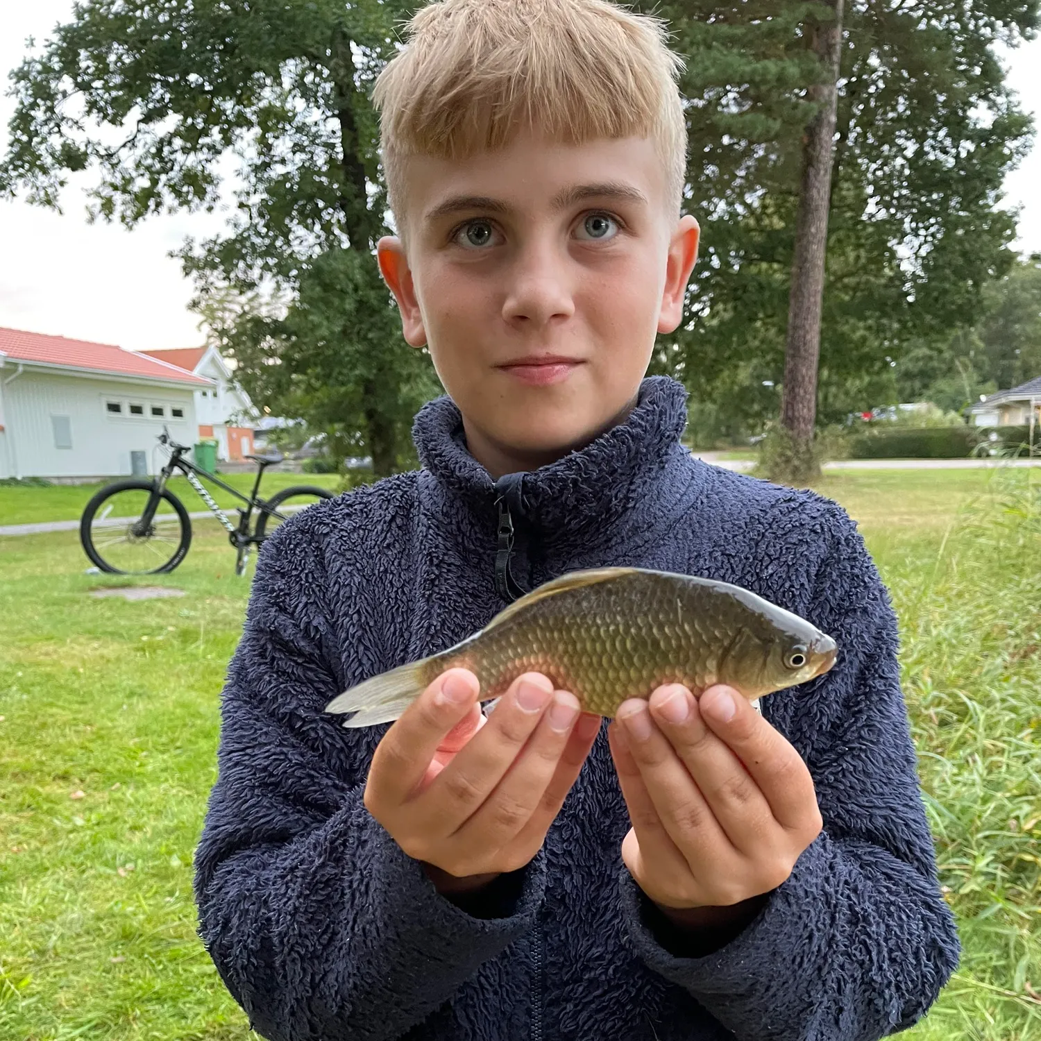 The most recent Crucian carp catches on Fishbrain