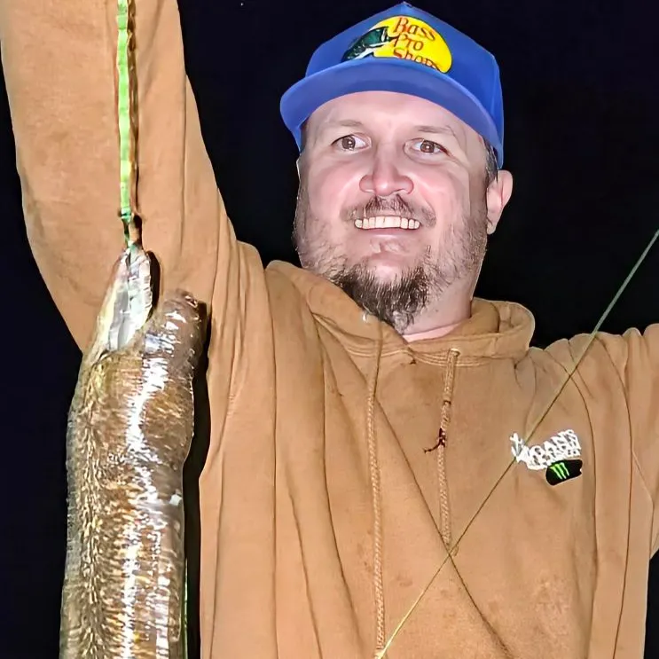 The most recent California moray catches on Fishbrain