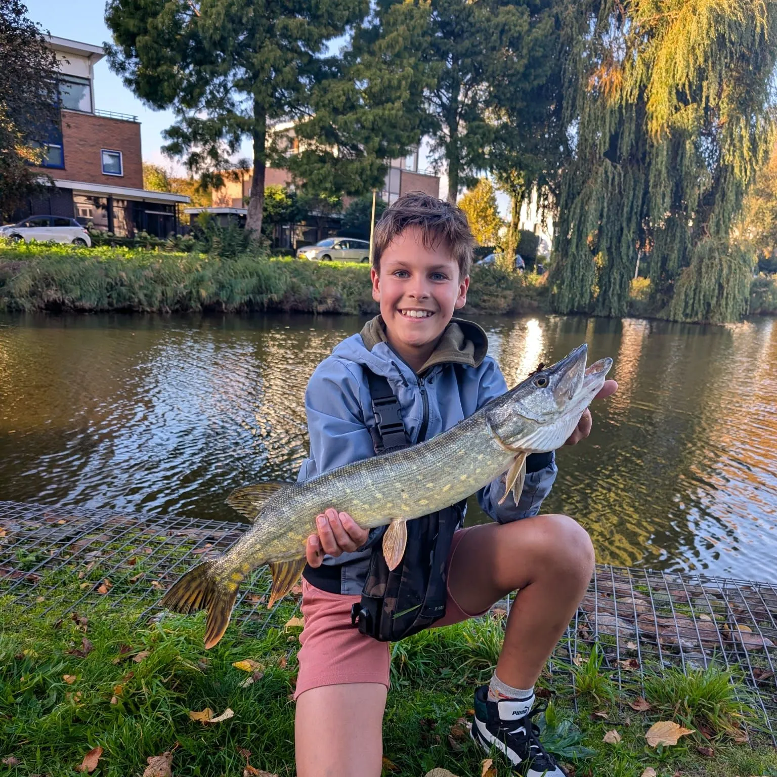 Northern pike caught on Fishbrain
