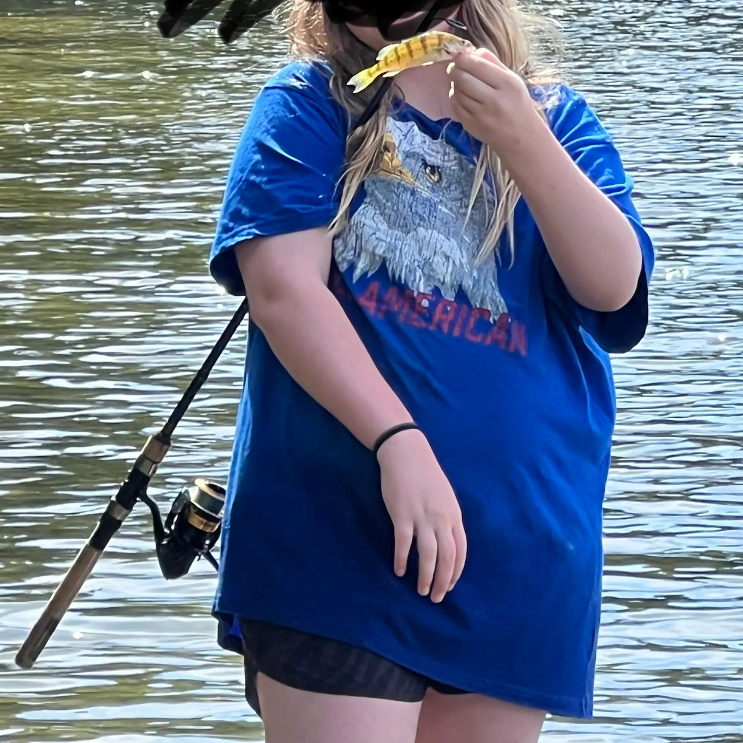 Yellow perch caught on Fishbrain