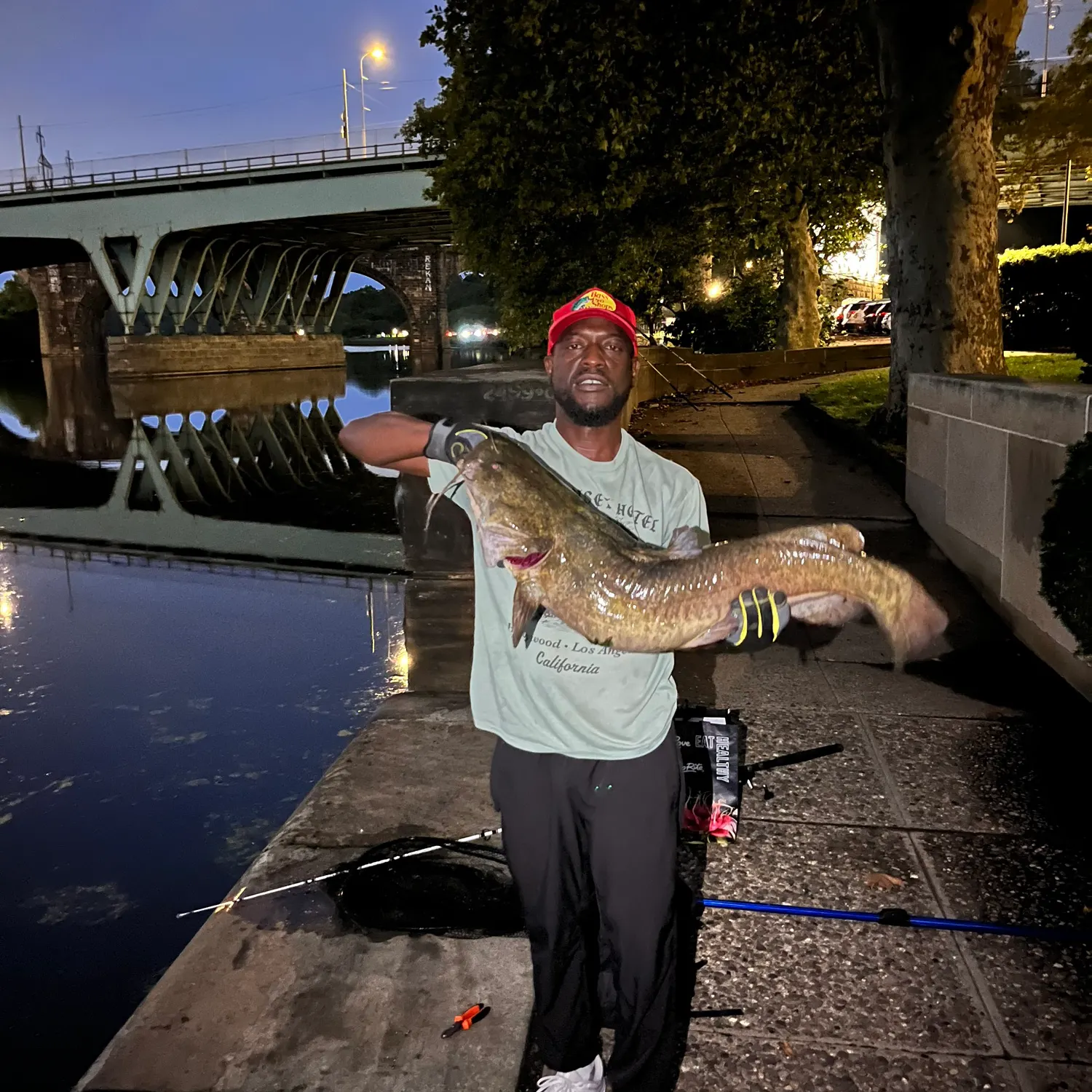 Flathead catfish caught on Fishbrain